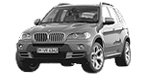 BMW E70 P319D Fault Code